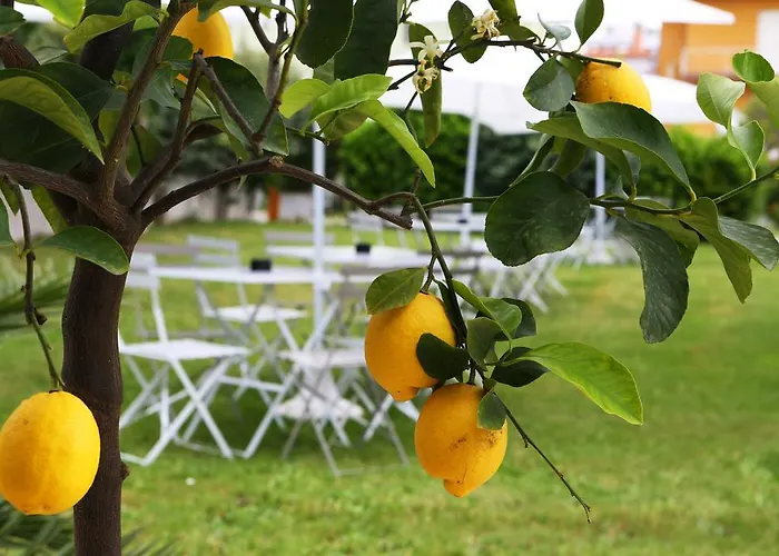 Color Punta Nord Village - Rimini 4*