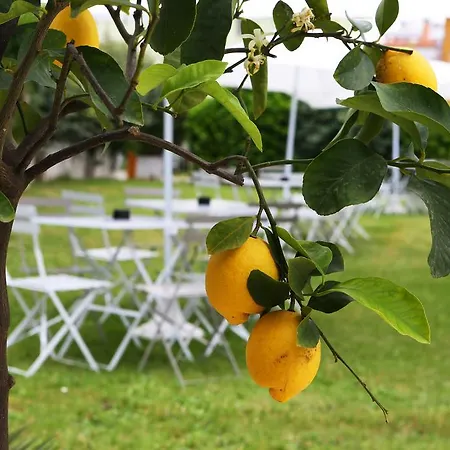 Color Punta Nord Village - Rimini 4*